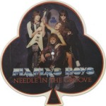 Needle In The Groove - Picture