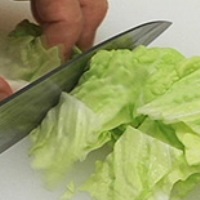 白菜を切る