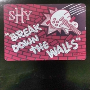 Break Down The Walls