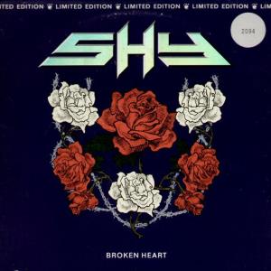 Broken Heart